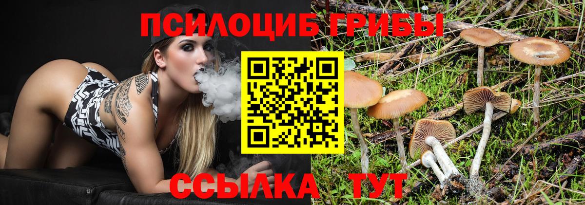 Галлюциногенные грибы мухоморы  магазин    Галлюциногенные грибы ЛСД  Можга  Вход с VPN 