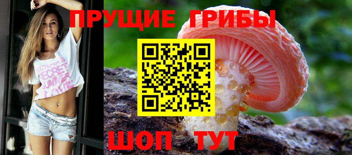 Псилоцибиновые грибы ЛСД Можга